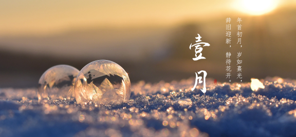 盈•月汇（大连）2024.1 | 岁且更始，春意渐进